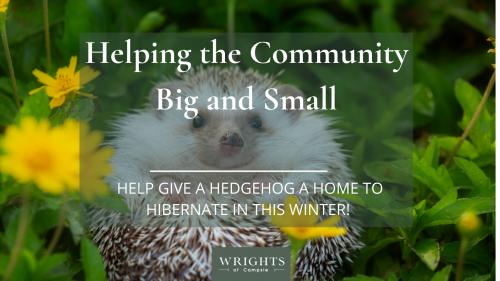 Help give a hedgehog a home in to hibernate in this winter! 