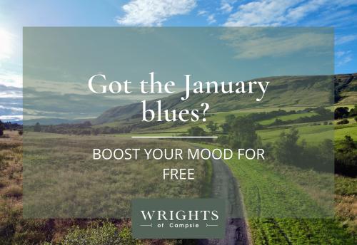  Got the January Blues? 
